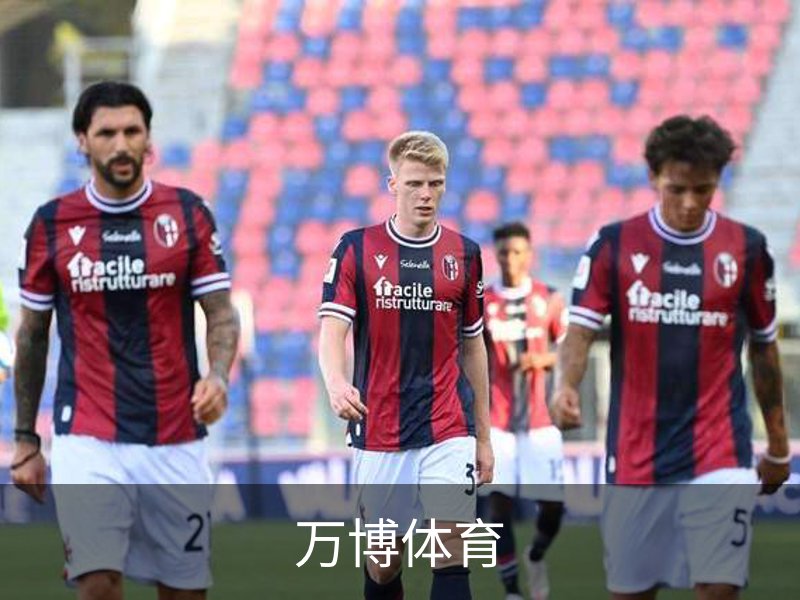 关于万博体育